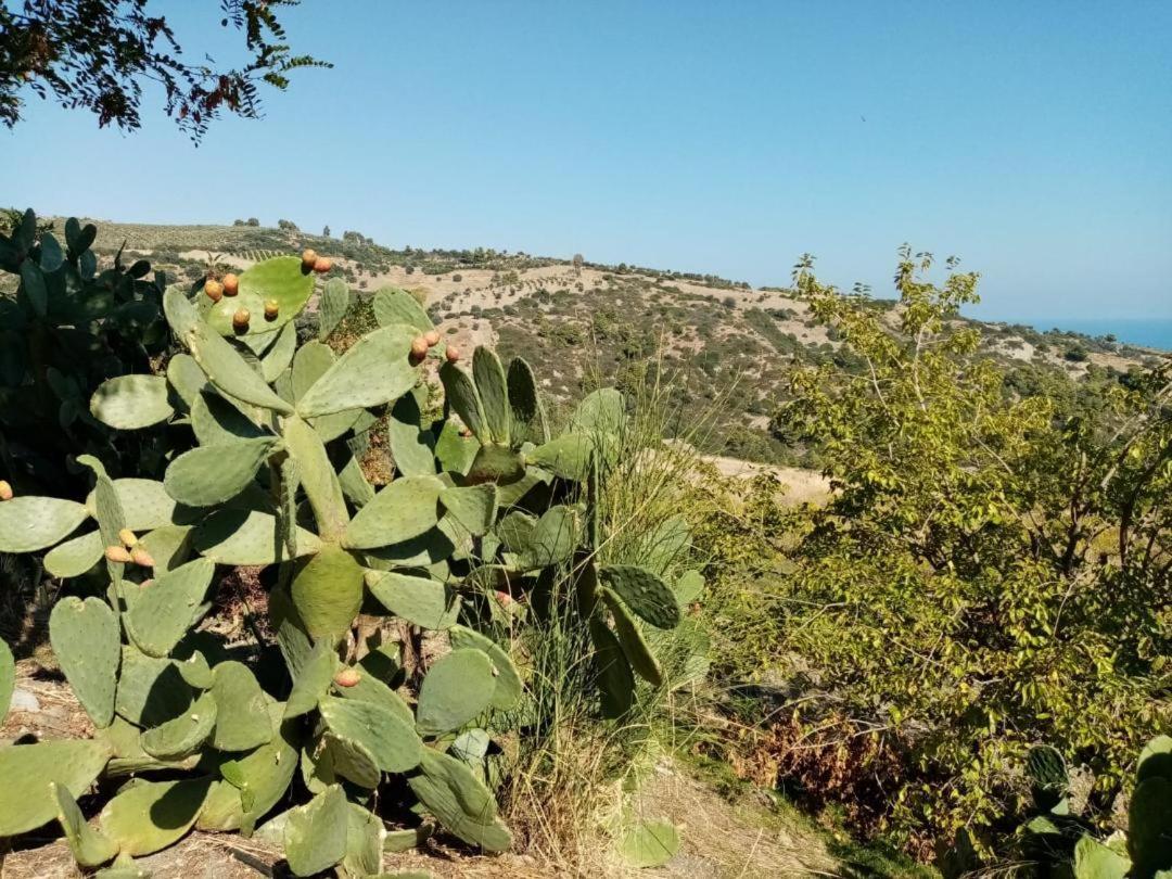 Villa Grassetti Montegiordano Esterno foto