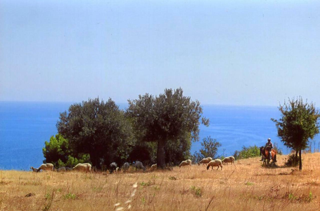 Villa Grassetti Montegiordano Esterno foto