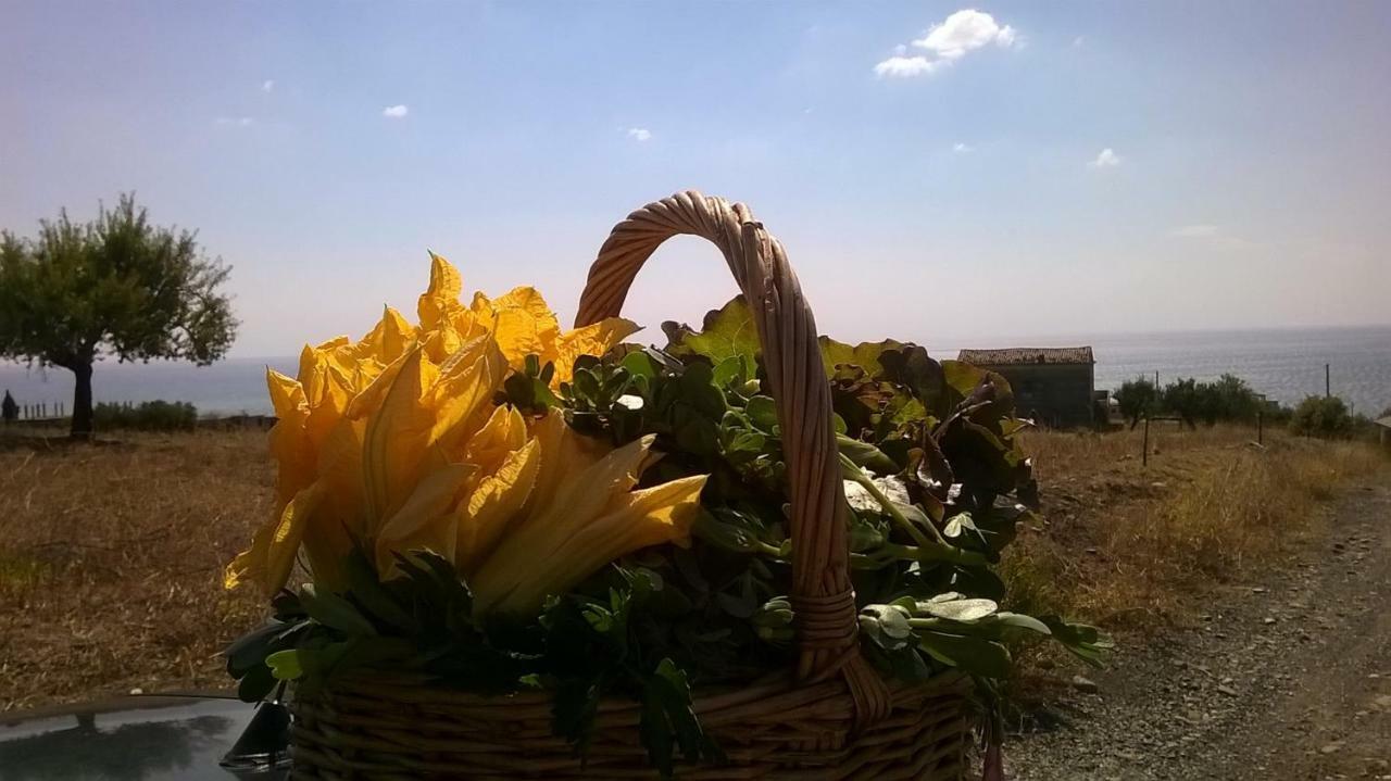 Villa Grassetti Montegiordano Esterno foto