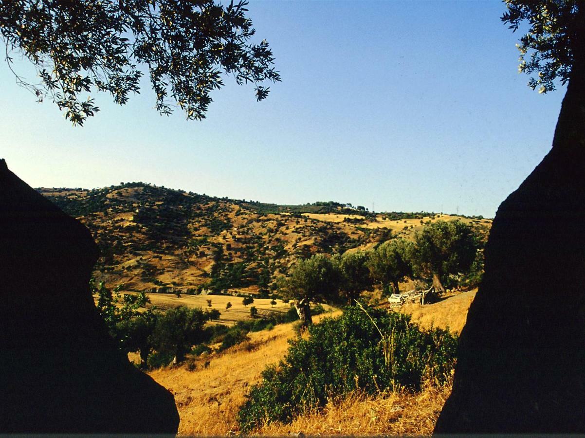 Villa Grassetti Montegiordano Esterno foto